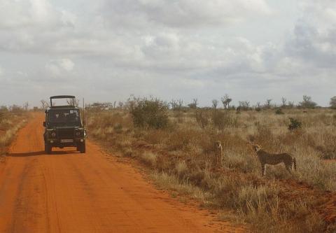 safari-kenia.jpg